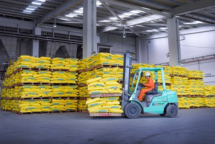Lô vải không hạt trồng tại Thanh Hóa được xuất khẩu sang Nhật Bản và Vương quốc Anh